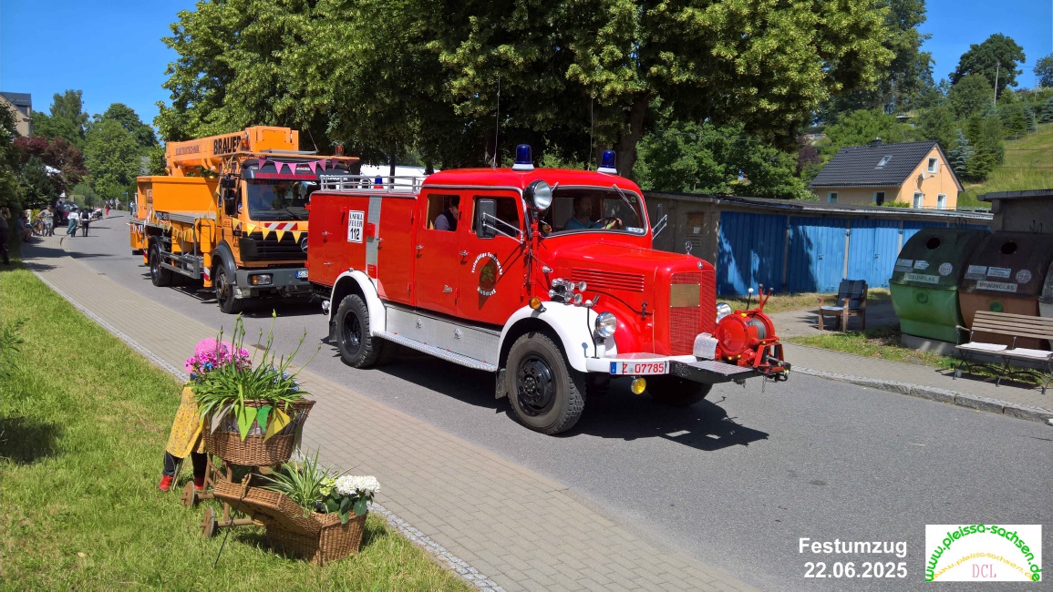 dfso06.jpg