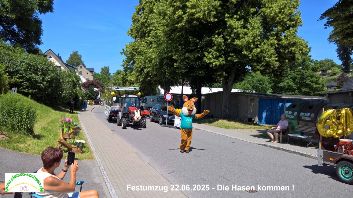 dfso16.jpg